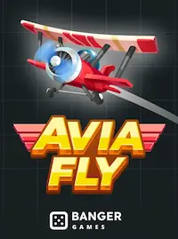 Avia Fly crash at BEARJL